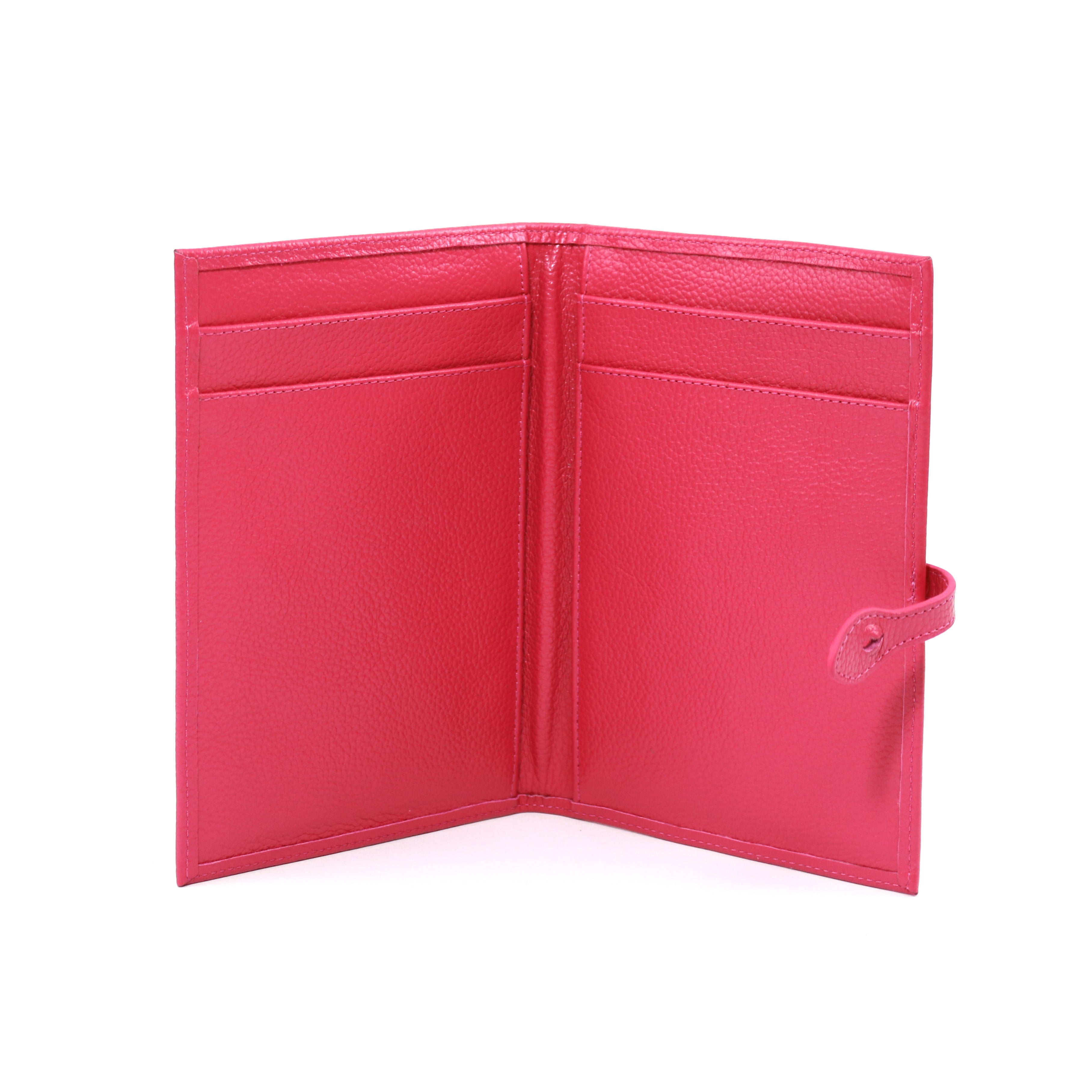 Porta Passaporte Coletivo